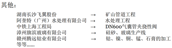 立式襯膠止回閥業(yè)績(jī)