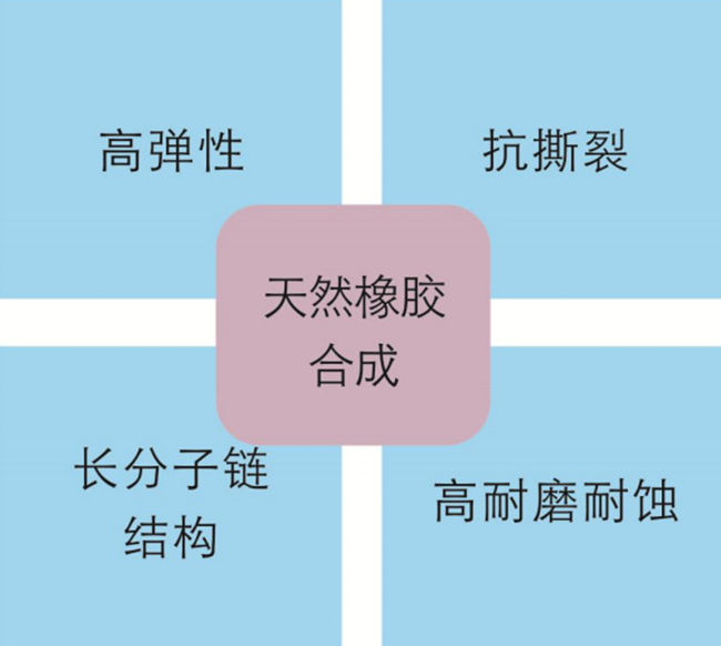 管夾閥膠管特點(diǎn)